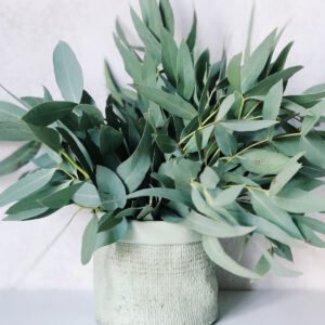 Home Artisan Flower Tea