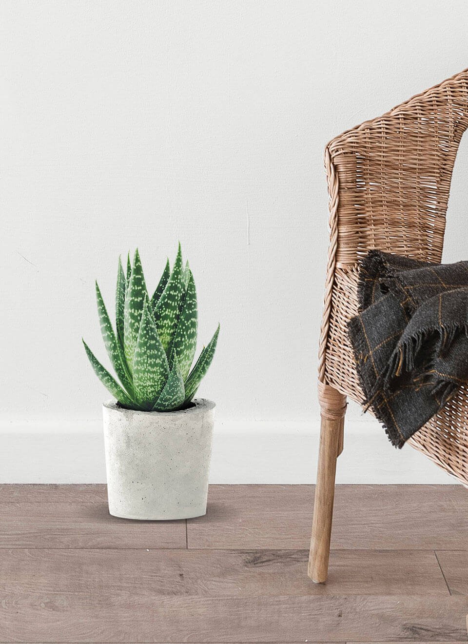 flower-003-b.jpg flower 003 b.jpg