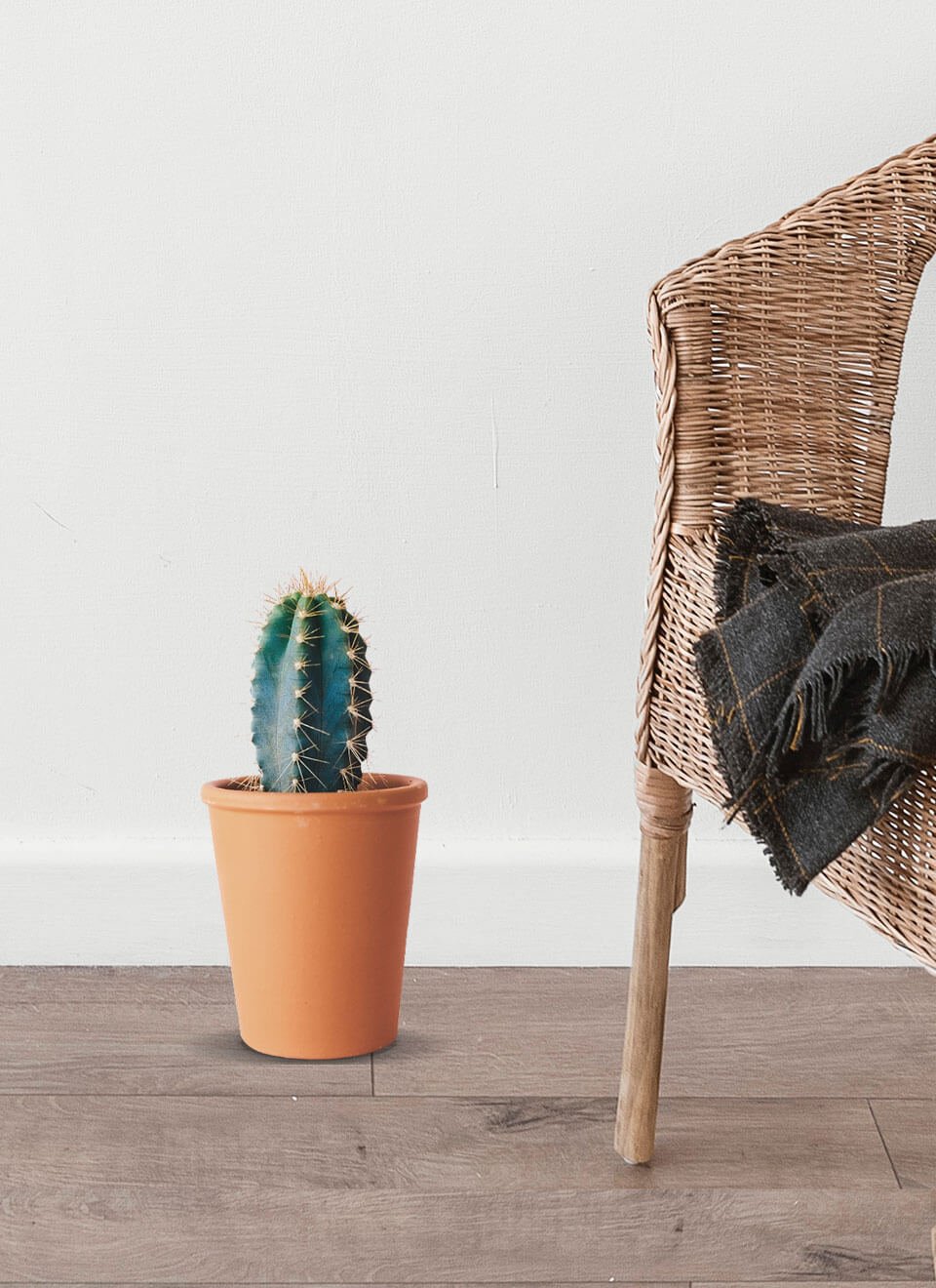 flower-01-b.jpg flower 01 b.jpg