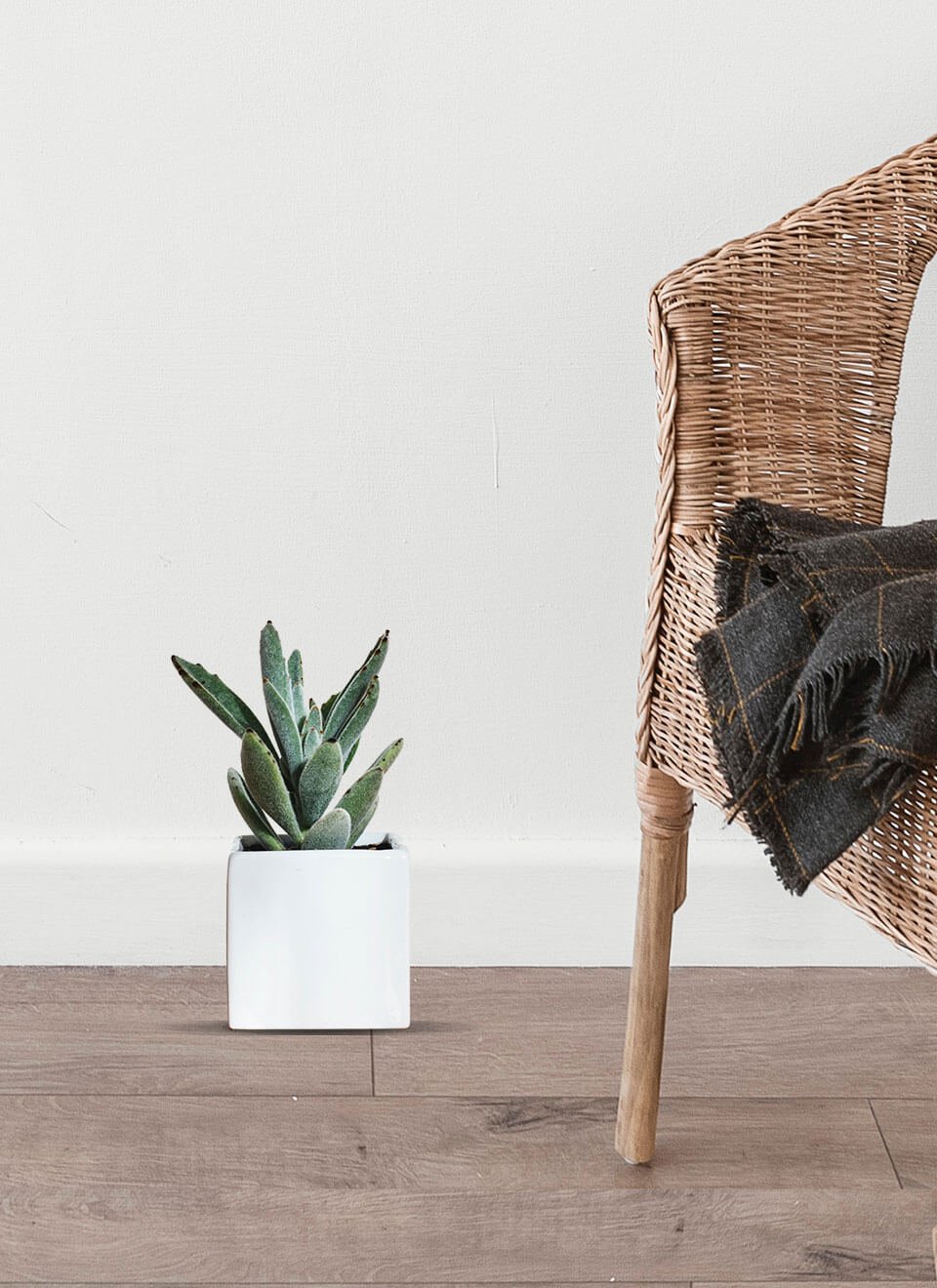 flower-02-b.jpg flower 02 b.jpg